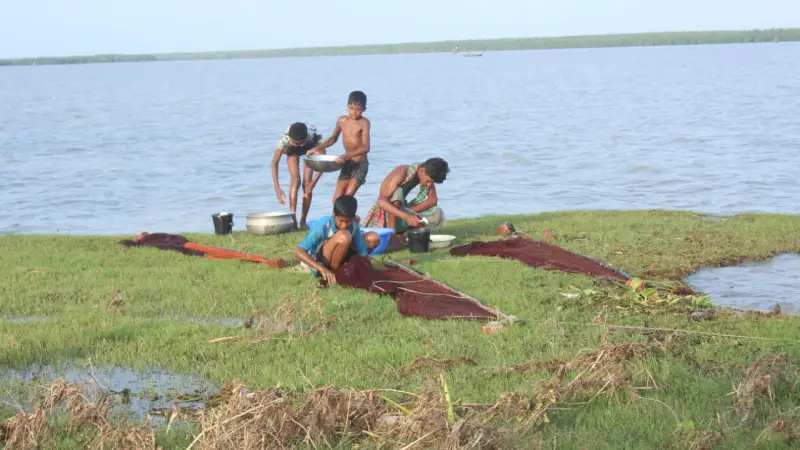 দশমিনায় কোটি কোটি টাকার বাগদা ও গলদা রেনুর অবৈধ ব্যবসা দশমিনায় কোটি কোটি টাকার বাগদা ও গলদা রেনুর অবৈধ ব্যবসা