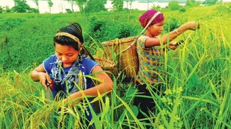 সুযোগ-সুবিধায় অবহেলিত গারো সম্প্রদায় সুযোগ-সুবিধায় অবহেলিত গারো সম্প্রদায়