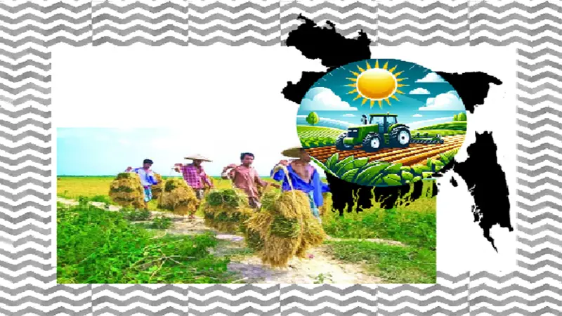 কৃষি খাতের পুনর্মূল্যায়ন কৃষি কমিশন গঠন প্রসঙ্গে কৃষি খাতের পুনর্মূল্যায়ন কৃষি কমিশন গঠন প্রসঙ্গে