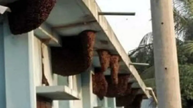 যেমন কর্ম, তেমন ফল যেমন কর্ম, তেমন ফল