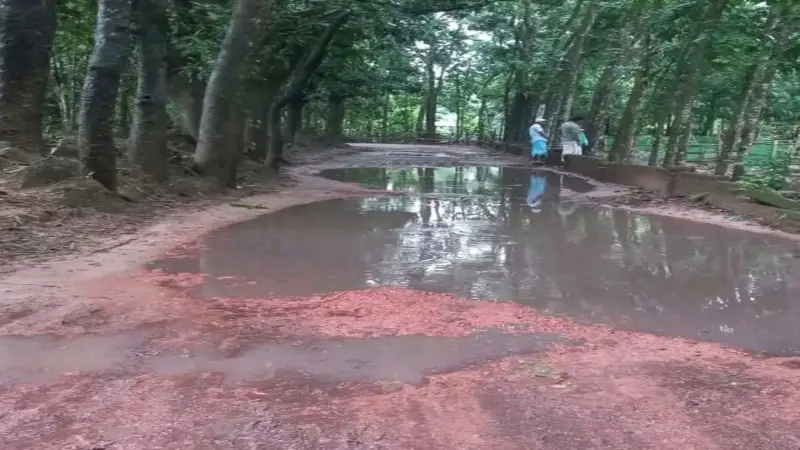 আজাদী বাজার: শান্তিরহাট সংযোগ সড়কের বেহাল দশা, ভোগান্তি চরমে