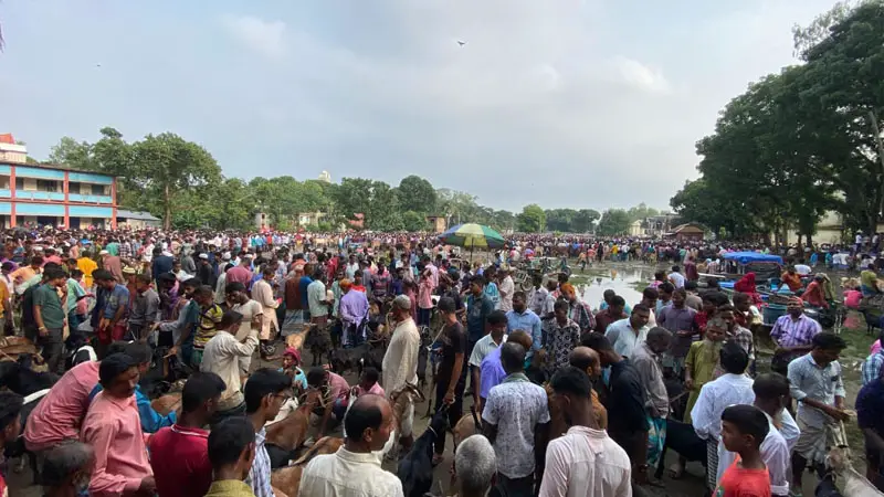 শেষ সময়ে জমজমাট রৌমারীর কোরবানির পশুর হাট শেষ সময়ে জমজমাট রৌমারীর কোরবানির পশুর হাট