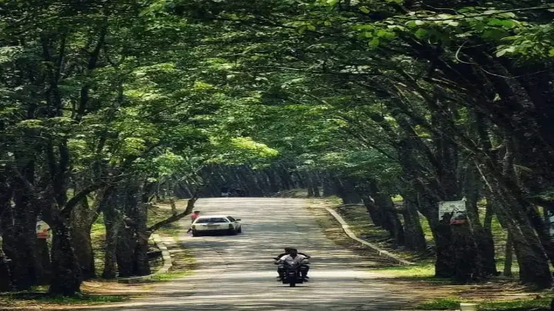 সেলফি রোড: পর্যটন সম্ভাবনার এক নিঃশব্দ ডাক সেলফি রোড: পর্যটন সম্ভাবনার এক নিঃশব্দ ডাক