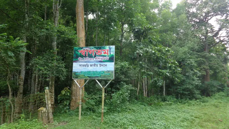 সাতছড়ি উদ্যানে আগুন, অল্পের জন্য রক্ষা সাতছড়ি উদ্যানে আগুন, অল্পের জন্য রক্ষা