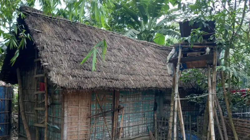 বিলুপ্তির পথে ঐতিহ্যবাহী কুঁড়ে ঘর বিলুপ্তির পথে ঐতিহ্যবাহী কুঁড়ে ঘর