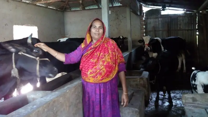 গবাদি পশু পালনে ভাগ্য বদলেছে কাজলী খাতুনের গবাদি পশু পালনে ভাগ্য বদলেছে কাজলী খাতুনের