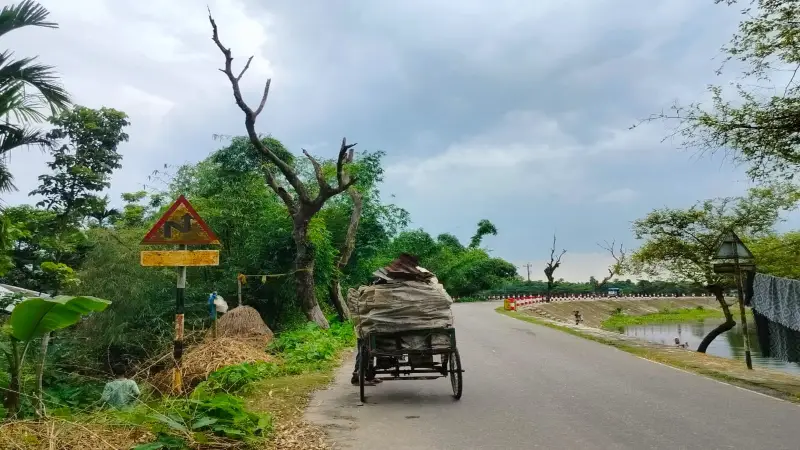 ১৫ কি.মি. সড়কে ঝুঁকিপূর্ণ মরা গাছ, দুর্ঘটনার আশঙ্কা ১৫ কি.মি. সড়কে ঝুঁকিপূর্ণ মরা গাছ, দুর্ঘটনার আশঙ্কা