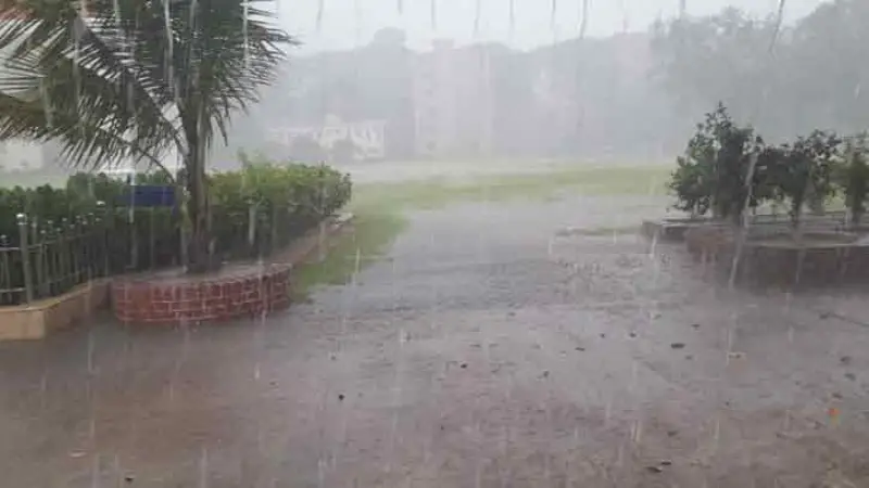 তীব্র তাপদাহের পর বৃষ্টি, জনমনে স্বস্তি তীব্র তাপদাহের পর বৃষ্টি, জনমনে স্বস্তি