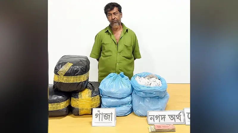 চৌদ্দগ্রামে সেনাবাহিনীর অভিযানে গাঁজাসহ মাদক কারবারি আটক চৌদ্দগ্রামে সেনাবাহিনীর অভিযানে গাঁজাসহ মাদক কারবারি আটক