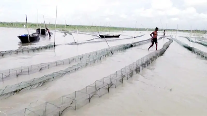 জলাশয় মাছশূন্য হচ্ছে জলাশয় মাছশূন্য হচ্ছে