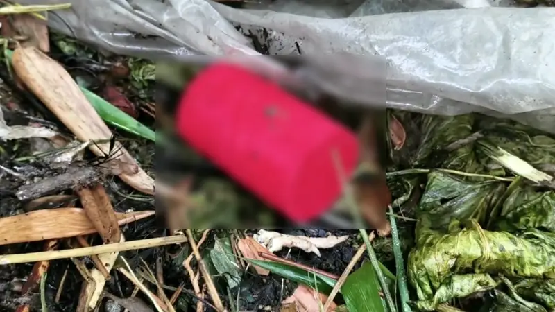 গাংনীতে আবারও মাথাচাড়া দিচ্ছে চাঁদাবাজ ও সন্ত্রাসীরা গাংনীতে আবারও মাথাচাড়া দিচ্ছে চাঁদাবাজ ও সন্ত্রাসীরা