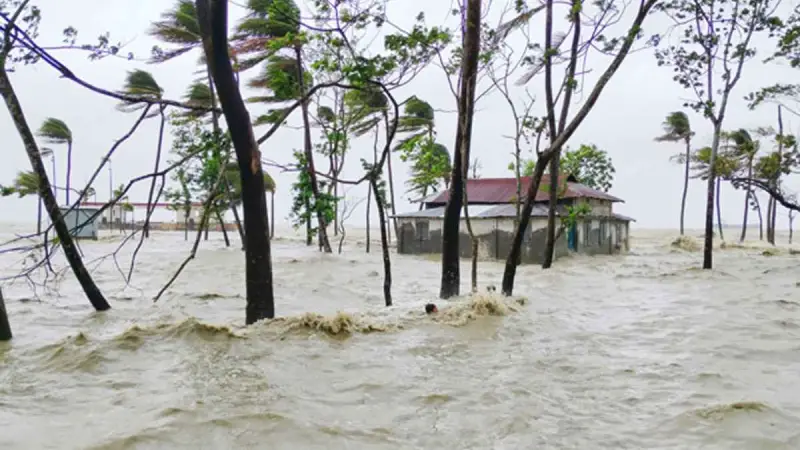 ঘূর্ণিঝড় রেমাল: বাগেরহাটে পাঁচ লক্ষাধিক গ্রাহক বিদ্যুৎ বিচ্ছিন্ন ঘূর্ণিঝড় রেমাল: বাগেরহাটে পাঁচ লক্ষাধিক গ্রাহক বিদ্যুৎ বিচ্ছিন্ন