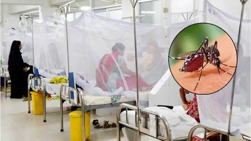 ডেঙ্গুতে প্রাণ গেল আরো ৫জন ডেঙ্গুতে প্রাণ গেল আরো ৫জন