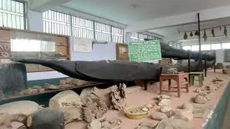 রকস মিউজিয়াম সংরক্ষণ প্রয়োজন রকস মিউজিয়াম সংরক্ষণ প্রয়োজন