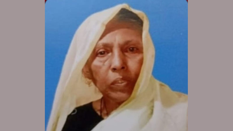 হাটহাজারীতে নিখোঁজ বৃদ্ধার লাশ মিলল পুকুরে হাটহাজারীতে নিখোঁজ বৃদ্ধার লাশ মিলল পুকুরে