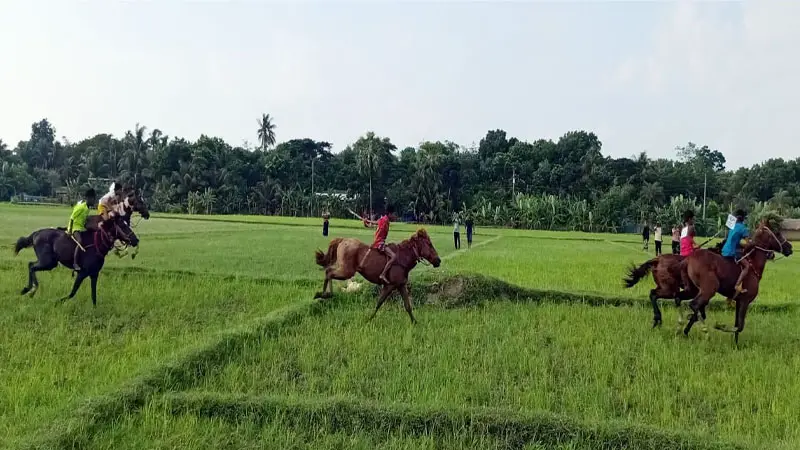 ঘোড়ার দৌড়ে তালার মাঠে উৎসবের আমেজ ঘোড়ার দৌড়ে তালার মাঠে উৎসবের আমেজ