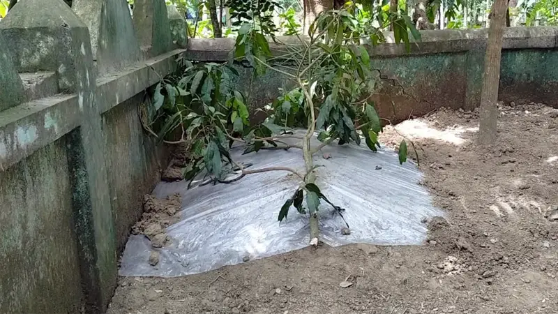 ছয় সন্তানের জননীর মৃত্যুর পর দাফন হল প্রতিবেশীর বাড়িতে, এলাকায় চাঞ্চল্য ছয় সন্তানের জননীর মৃত্যুর পর দাফন হল প্রতিবেশীর বাড়িতে, এলাকায় চাঞ্চল্য