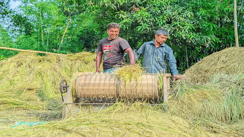 গাইবান্ধায় ফসলের মাঠে পৌঁছায়নি আধুনিক কৃষি প্রযুক্তি গাইবান্ধায় ফসলের মাঠে পৌঁছায়নি আধুনিক কৃষি প্রযুক্তি