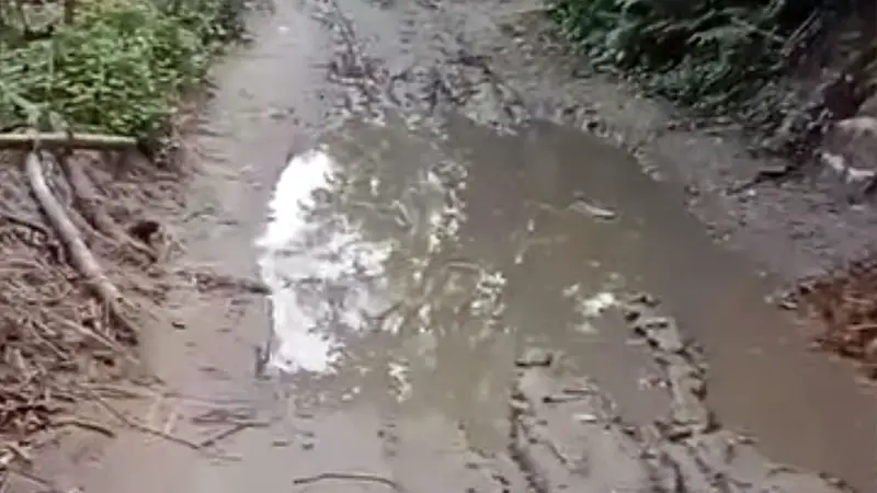 নাগরপুরে কলমাইদ বাজার থেকে বিল পর্যন্ত রাস্তা বেহাল, এলাকাবাসীর দ্রুত সংস্কারের দাবি নাগরপুরে কলমাইদ বাজার থেকে বিল পর্যন্ত রাস্তা বেহাল, এলাকাবাসীর দ্রুত সংস্কারের দাবি