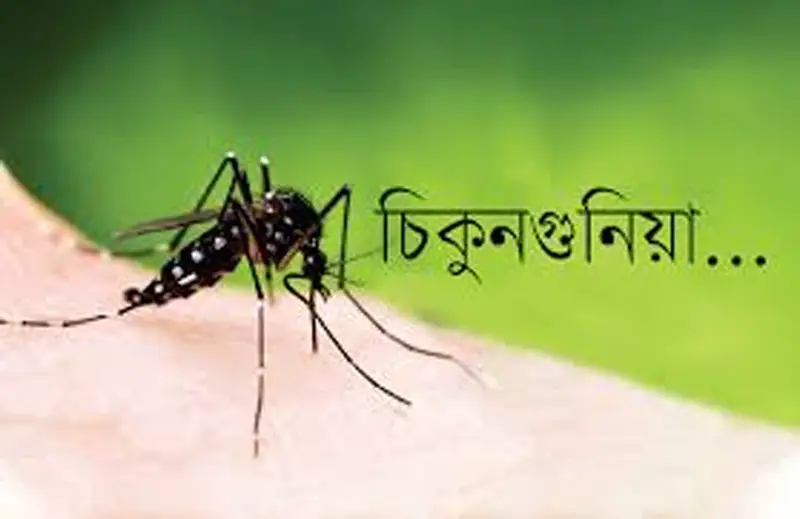 চিকুনগুনিয়া, ডেঙ্গু ও জিকা রোগের উচ্চ  ঝুঁকিতে চট্টগ্রাম