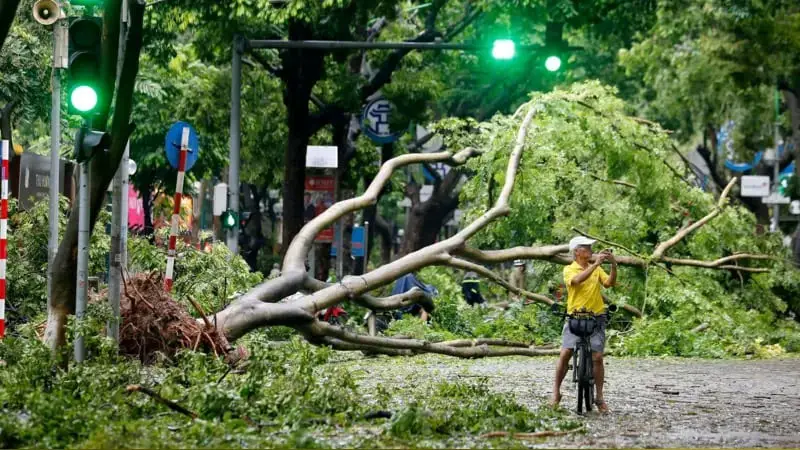 সুপার টাইফুন ইয়াগির তান্ডব, মৃত্যু ৫৯ সুপার টাইফুন ইয়াগির তান্ডব, মৃত্যু ৫৯