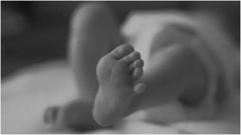 গাইবান্ধায় নবজাতকের মরদেহ উদ্ধার গাইবান্ধায় নবজাতকের মরদেহ উদ্ধার