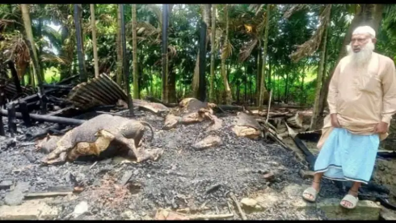 কমলনগরে দুর্বৃত্তের আগুনে পুড়লো কৃষকের ৪ গরু কমলনগরে দুর্বৃত্তের আগুনে পুড়লো কৃষকের ৪ গরু