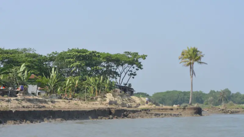 চালিতাবুনিয়ায় ভিটেবাড়ি হারা মানুষের নীরব আর্তনাদ চালিতাবুনিয়ায় ভিটেবাড়ি হারা মানুষের নীরব আর্তনাদ