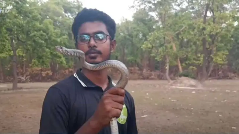 সাপ নাকি প্রিয় প্রাণী তার! দেখলেই ঝাঁপিয়ে পড়েন সাপ নাকি প্রিয় প্রাণী তার! দেখলেই ঝাঁপিয়ে পড়েন