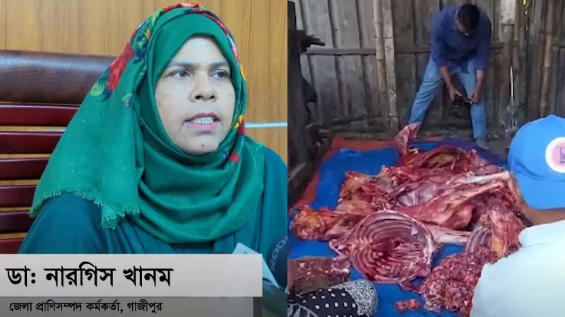 ঘোড়া জবাই ও মাংস বিক্রি নিষিদ্ধ করা হলো যেসব কারণে ঘোড়া জবাই ও মাংস বিক্রি নিষিদ্ধ করা হলো যেসব কারণে