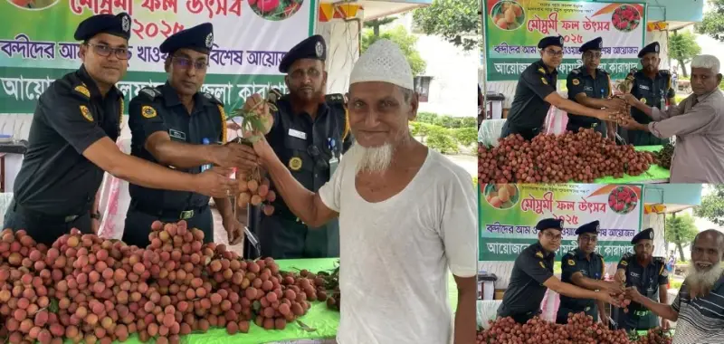 কারাগারে ‘লিচু-আম উৎসব’! নীলফামারীতে ৩১৯ বন্দির মুখে মৌসুমি ফলের হাসি