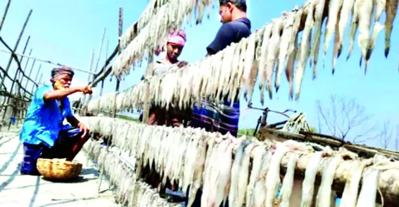 সাগরের নোনা পানিতে মেশে জেলেদের চোখের জলের ধারা সাগরের নোনা পানিতে মেশে জেলেদের চোখের জলের ধারা