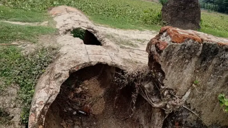 দুই কিলোমিটার রাস্তায় এক যুগের ভোগান্তি দুই কিলোমিটার রাস্তায় এক যুগের ভোগান্তি