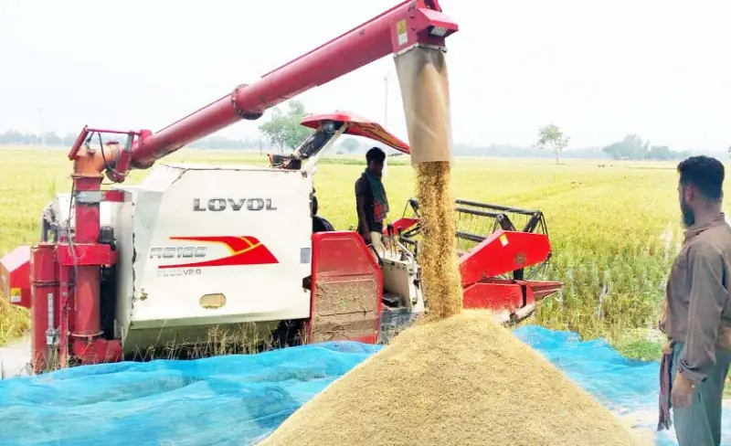 ধানকাটা মাড়াইয়ে বাড়ছে কৃষিযন্ত্রের ব্যবহার ধানকাটা মাড়াইয়ে বাড়ছে কৃষিযন্ত্রের ব্যবহার