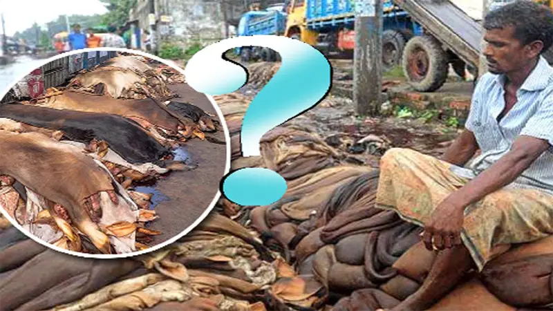 অব্যবস্থাপনায় চামড়া শিল্পের ভবিষ্যৎ