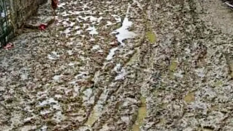 সড়ক নয়, এ যেন চাষের ফসলি জমি সড়ক নয়, এ যেন চাষের ফসলি জমি