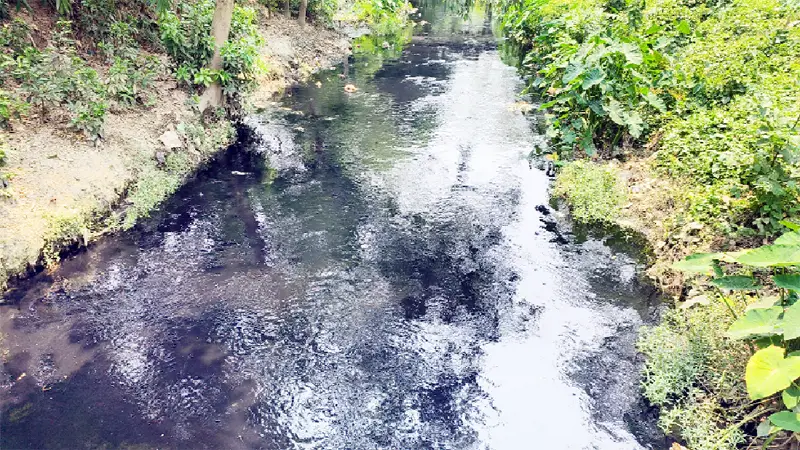 ত্রিপুরার বিষাক্ত পানি ঢুকছে আখাউড়ায় ত্রিপুরার বিষাক্ত পানি ঢুকছে আখাউড়ায়