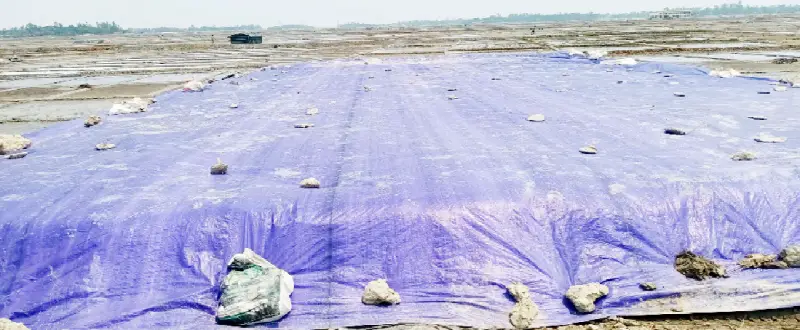 শেষ মৌসুমে দাম বাড়তে থাকায় লবণ চাষিরা খুশি শেষ মৌসুমে দাম বাড়তে থাকায় লবণ চাষিরা খুশি