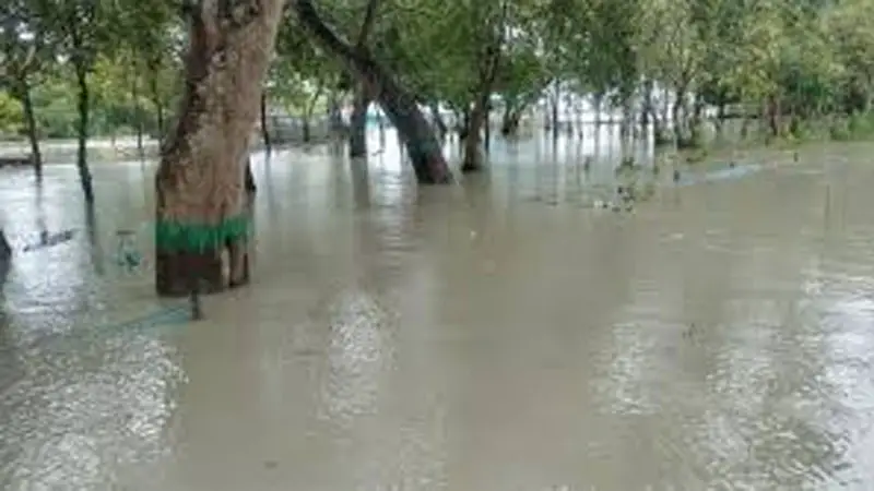 ১০ ফুট পানির নিচে সুন্দরবন, প্রাণীদের নিয়ে দুশ্চিন্তায় বনবিভাগ ১০ ফুট পানির নিচে সুন্দরবন, প্রাণীদের নিয়ে দুশ্চিন্তায় বনবিভাগ