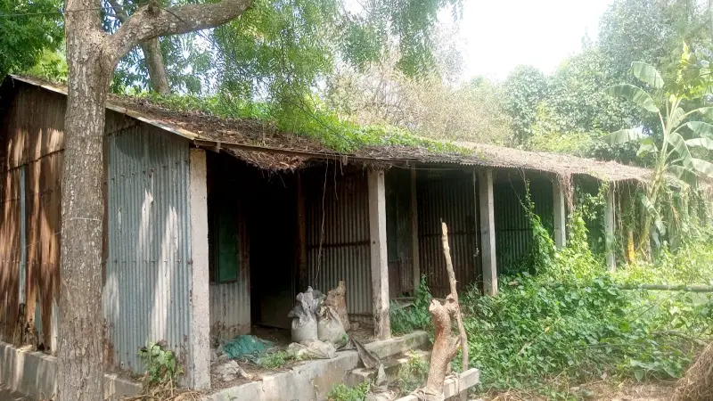১৭ বছরে কেউ কথা রাখেনি ১৭ বছরে কেউ কথা রাখেনি