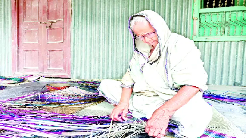 গ্রামীণ জনপদের পরিশ্রমী যমুনা বালা গ্রামীণ জনপদের পরিশ্রমী যমুনা বালা