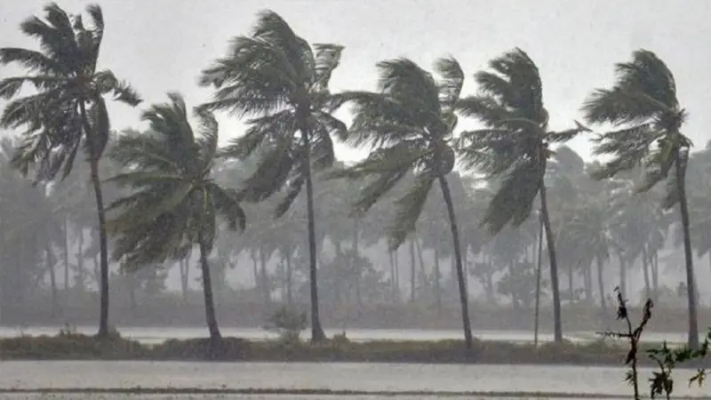 সকাল ১০টার মধ্যে যেসব জেলায় তীব্র ঝড় বইতে পারে সকাল ১০টার মধ্যে যেসব জেলায় তীব্র ঝড় বইতে পারে