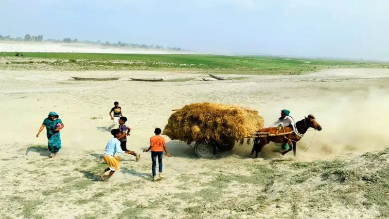 পাবনার যমুনা চরাঞ্চলের একমাত্র ভরসা ঘোড়ার গাড়ি পাবনার যমুনা চরাঞ্চলের একমাত্র ভরসা ঘোড়ার গাড়ি