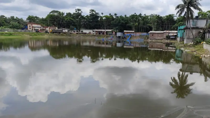 ঐতিহ্য হারাচ্ছে পানপাড়া দিঘি ঐতিহ্য হারাচ্ছে পানপাড়া দিঘি