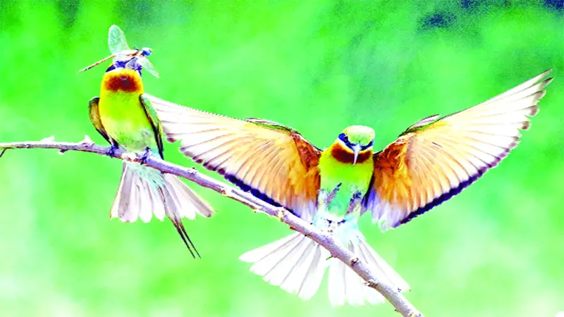 ক্যামেরার লেন্সে ছবি আঁকেন পুষ্প