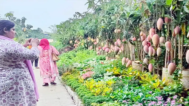 জাতীয় পরিবেশ ও বৃক্ষমেলা-২০২৫ জাতীয় পরিবেশ ও বৃক্ষমেলা-২০২৫