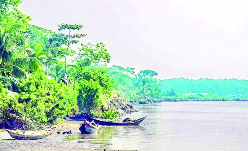 প্রাকৃতিক সৌন্দর্যের আধার নিঝুম দ্বীপ ও মুছাপুর ক্লোজার প্রাকৃতিক সৌন্দর্যের আধার নিঝুম দ্বীপ ও মুছাপুর ক্লোজার