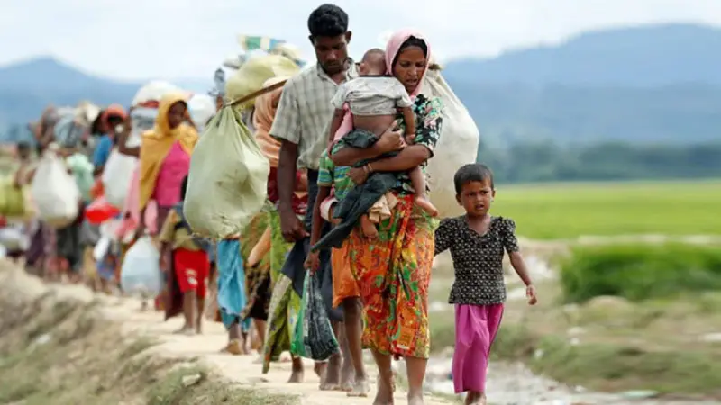 ফের উত্তপ্ত রাখাইন, আরাকান আর্মির নির্যাতনে পালিয়ে আসছে রোহিঙ্গারা ফের উত্তপ্ত রাখাইন, আরাকান আর্মির নির্যাতনে পালিয়ে আসছে রোহিঙ্গারা