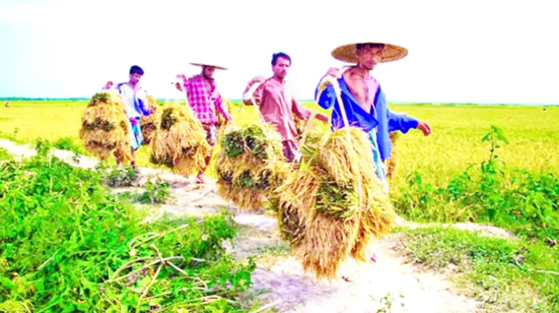 কৃষকদের আর্থ-সামাজিক উন্নয়ন কৃষকদের আর্থ-সামাজিক উন্নয়ন