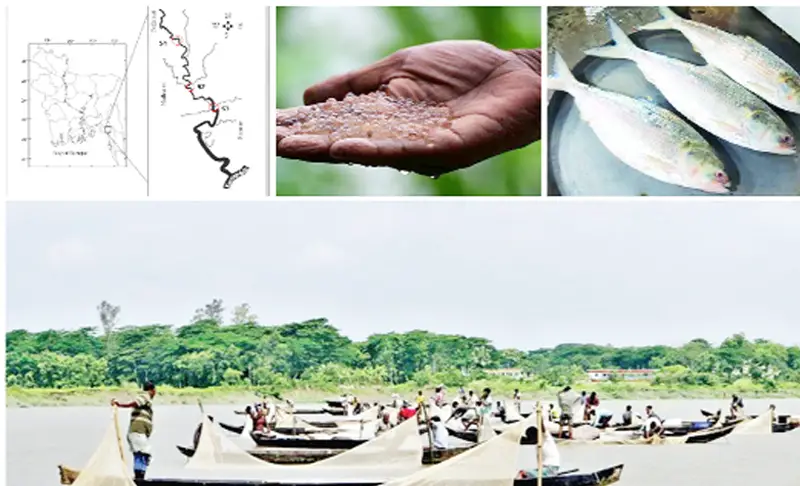 ব্যতিক্রম বৈশিষ্ট্য সংবলিত নদী হালদা ব্যতিক্রম বৈশিষ্ট্য সংবলিত নদী হালদা